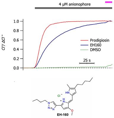 Anion-Transport Mechanism of a Triazole-Bearing Derivative of Prodigiosine: A Candidate for Cystic Fibrosis Therapy